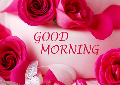 Good Morning Red Roses & Flowers Wishes eCard